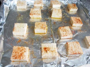 seasoned tofu ready for oven