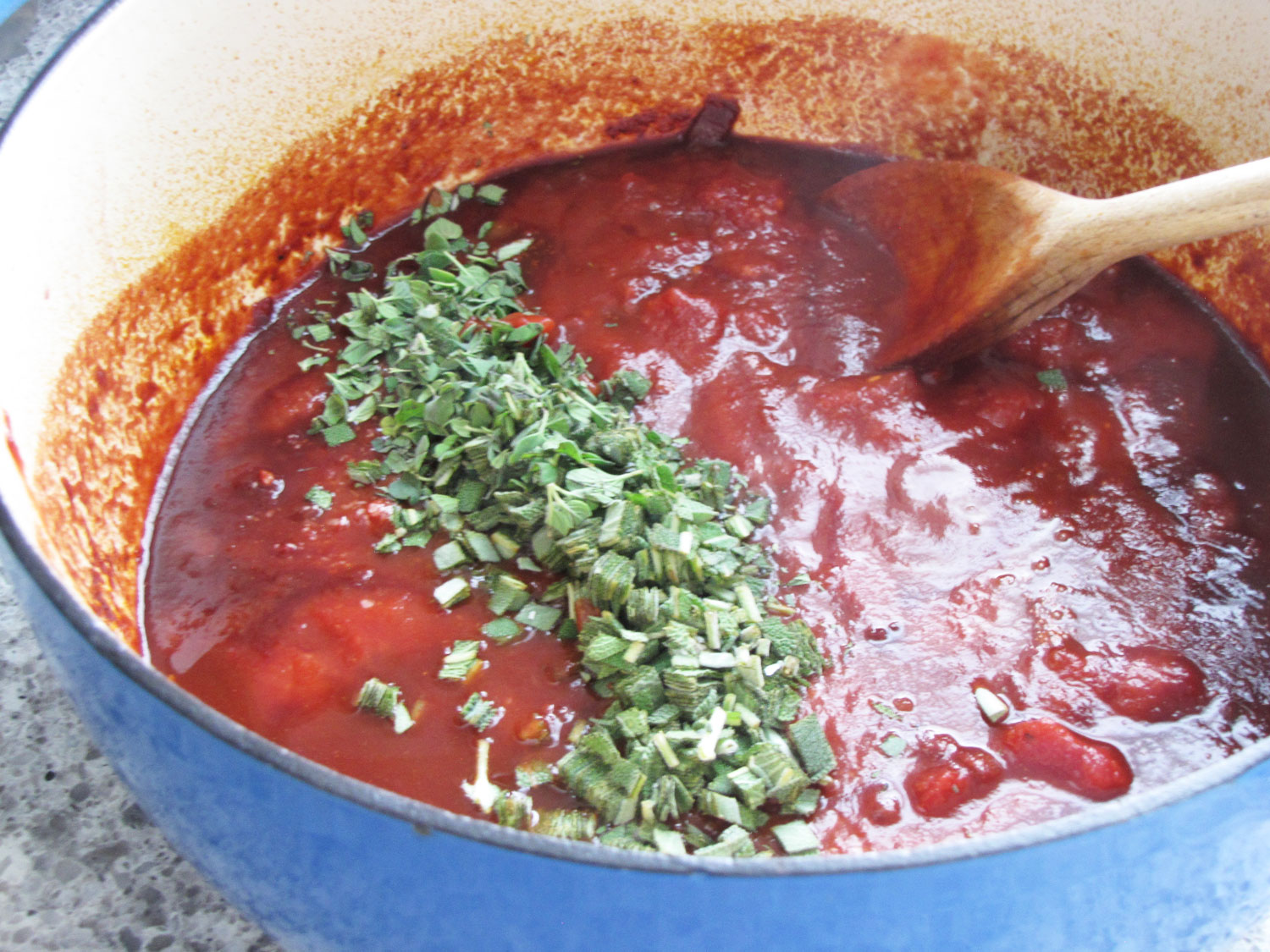 Oven Braised Lamb Shanks in Tomato Sauce • Food, in brief.