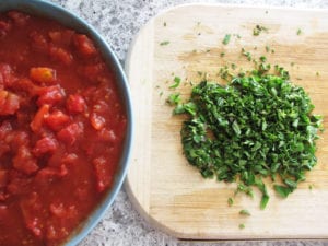 Stewed tomatoes and fresh oregano