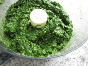 Kale Pesto in Food Processor
